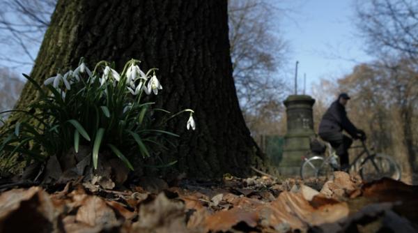 vom avea o primavara rece si uscata vremea in urmatoarele trei luni