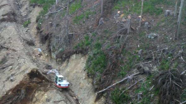 ministerul mediului zice ca nu mai prelungeste contractul termitelor