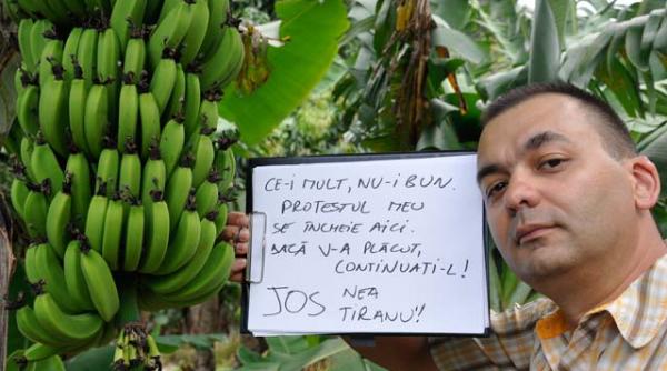 final de concediu final de protest in reunion