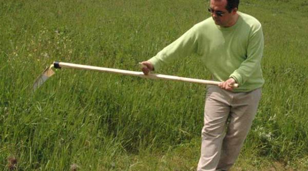 cronica unei miscari anuntate cum va fi vopsita alba ca zapada in verde albastru