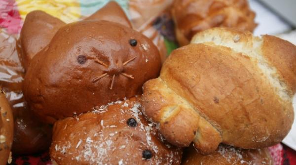 painea si produsele de panificatie nu sunt otravitoare acestea nu contin initium