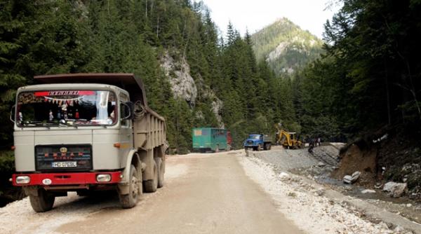 solovastru o contrazice pe cristina traila romsilva nu are 800 de ocoale silvice ci doar 327