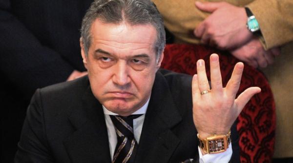 gigi becali va sustine pdl la alegerile pentru primaria capitalei