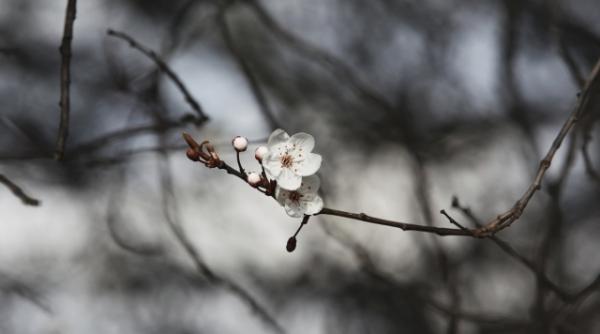 vremea se incalzeste dupa data de 9 martie vezi prognoza meteo pentru intervalul 2 15 martie