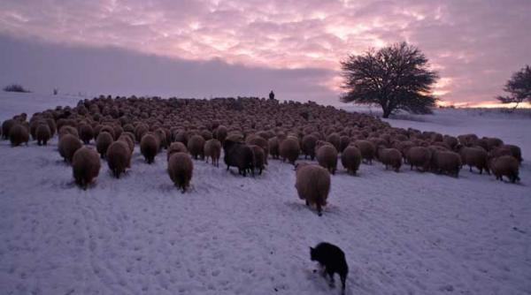 cum dispare un mod de viata