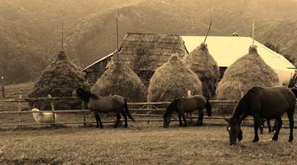 zilele cailor lui santoader