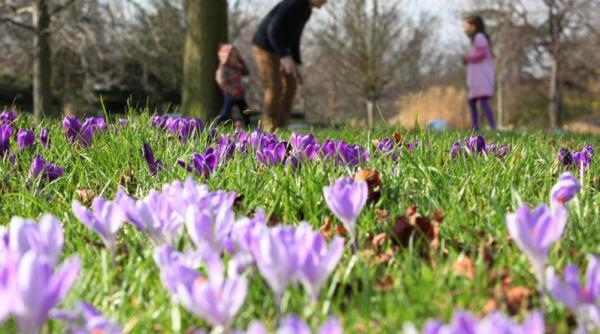 primavara vine de 8 martie vezi prognoza meteo pentru urmatoarele zile