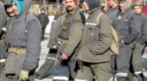 ministerul economiei si minerii din valea jiului au cazut la pace