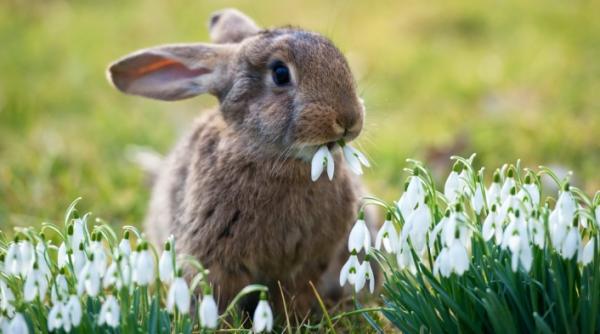 12 martie 2012 imaginile zilei