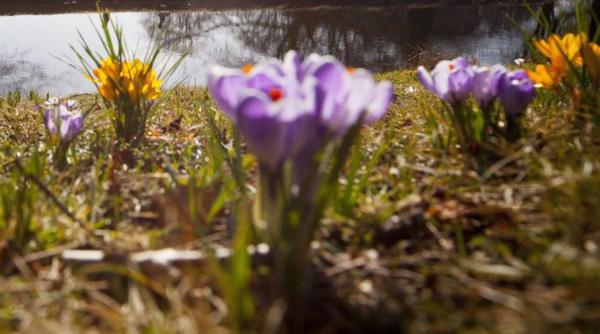 vine primavara anm de joi temperaturile cresc categoric vezi prognoza meteo pentru urmatoarele trei zile