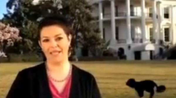 video cainele lui obama vrea sa apara neaparat la televizor bo a intrat in direct la o televiziune spaniola