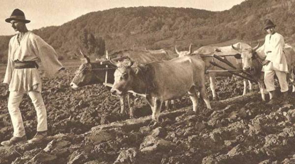 ziua zeitei anna perenna si pornirea plugului
