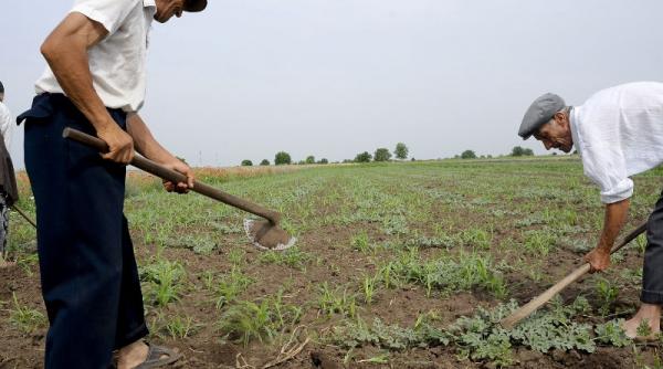 cu fermierii la seminar producatorii agricoli vor fi consiliati sa obtina fonduri europene si vor primi sfaturi de afaceri