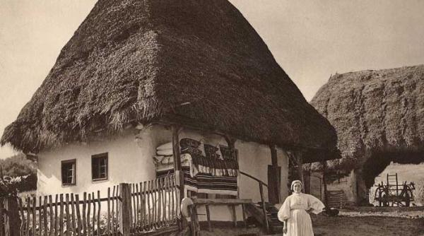 alexiile triumful primaverii