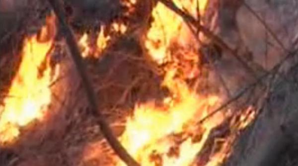 incendiu in parcul national defileul jiului flacarile au cuprins aproape 100 de hectare de vegetatie uscata