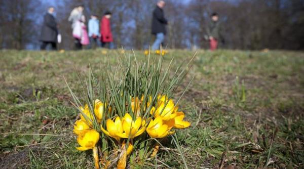 temperaturi de pana la 24 de grade in toata tara vezi prognoza meteo pana joi