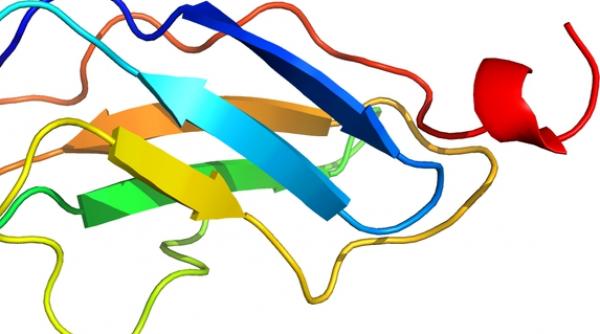 cel mai lung cuvant din lume vezi cate zeci de mii de litere are