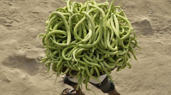 22 martie 2012 imaginile zilei