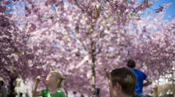 urmatoarele zile aduc temperaturi de pana la 24 de grade celsius vezi cat de cald va fi in weekend