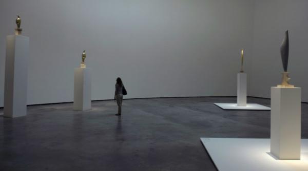 brancusi la bilbao