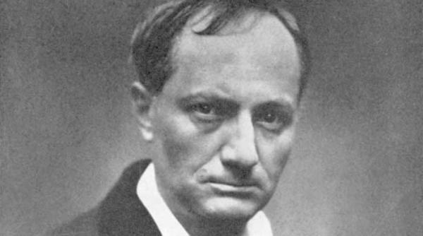 cazuri celebre florile raului ultraj la morala publica