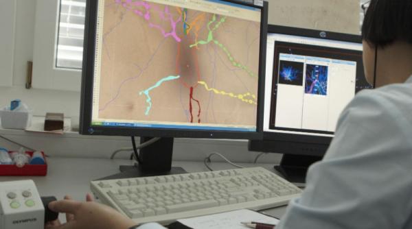 moleculele placerii au fost descifrate dependenta de droguri durerile cronice si depresia ar putea fi blocate