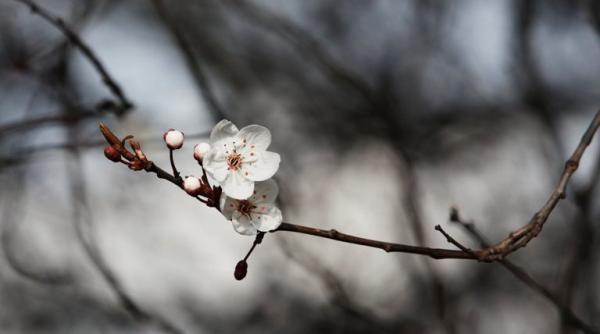 inceputul de saptamana vine cu temperaturi scazute in toata tara vezi prognoza pe trei zile