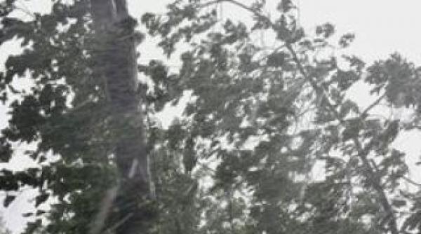 anm avertizeaza vant puternic in toata tara de miercuri pana sambata