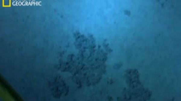 video primele imagini filmate de cameron in groapa marianelor dezolant peisaj lunar am avut impresia ca sunt pe alta planeta