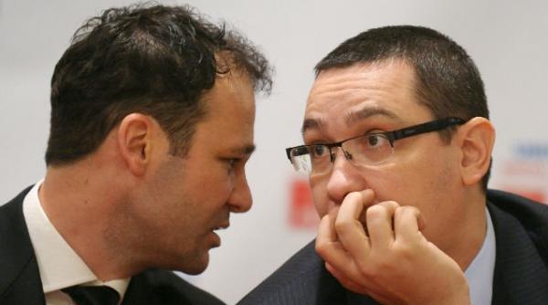 negoita contra negoita psd istul robert va incerca sa fure primaria sectorului 3 pdl istului liviu