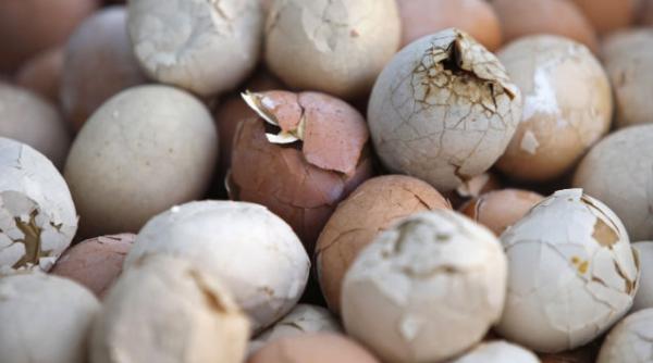 ultima fita in bucataria chineza oua fierte in urina de baietei vezi beneficiile oferite galerie foto