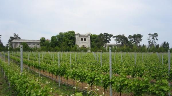 apologia cap ului vezi ce ministru cere exploatarea terenurilor in asociere