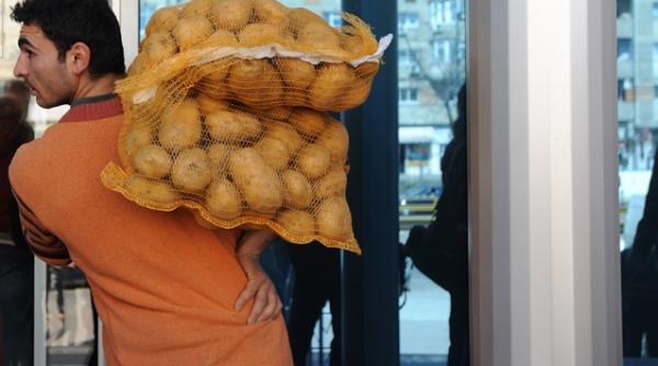 productia de cartofi in 2011 in crestere cu 25 2 fata de anul precedent afla ce suprafata s a cultivat si cate tone s au obtinut