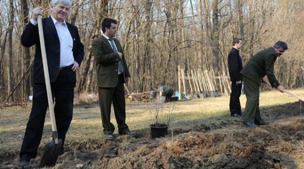 schimbarea de la ministerul agriculturii tabara cumpara legume din piata fuia prefera supermarketul