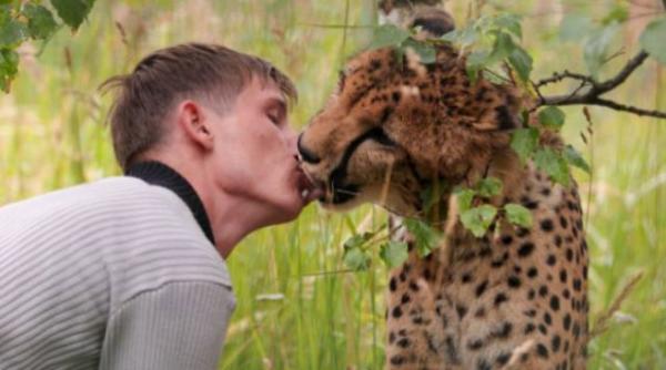 imagini impresionante cu un ghepard care pupa un student rus