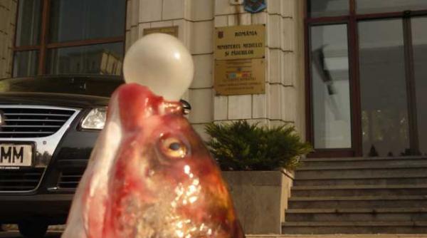 constitutia de mediu si relele bune practici