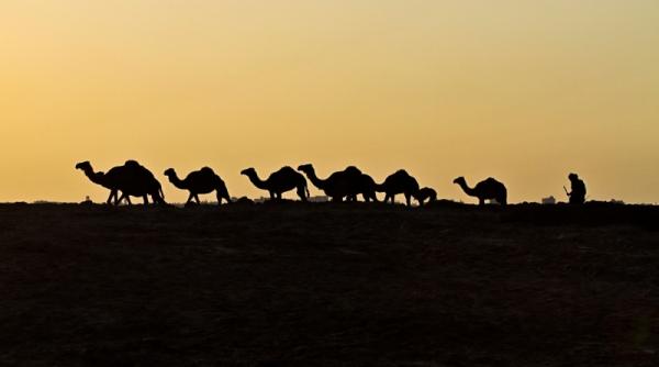 5 aprilie 2012 imaginile zilei