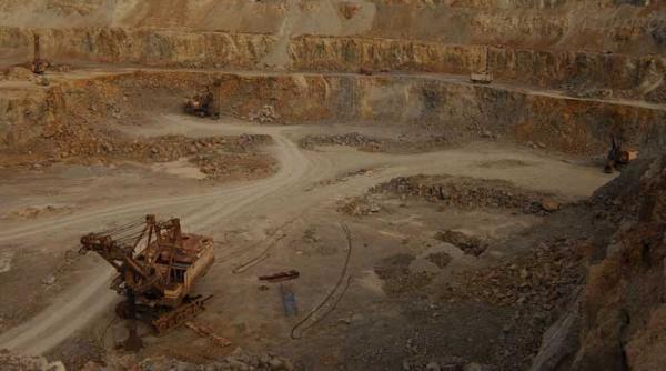 cui va vinde bayfront mai departe cuprumin