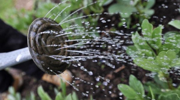 furtunurile cu apa interzise in sudul angliei