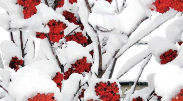 venetia decadenta durabila