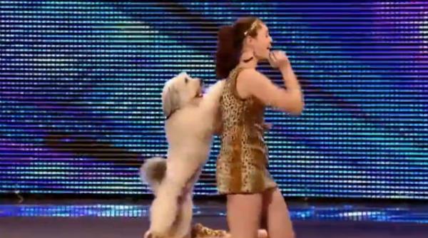 video un caine a uimit publicul si juriul de la britain s got talent