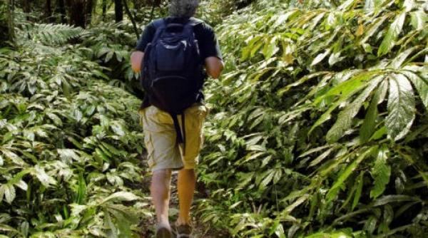 amintirile lui stoichita in america centrala in panama ma spalam la cismea si cautam fotbalisti in jungla