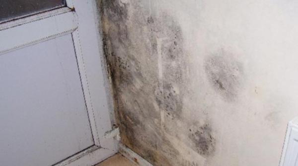 5 solutii ca sa scapi de igrasie