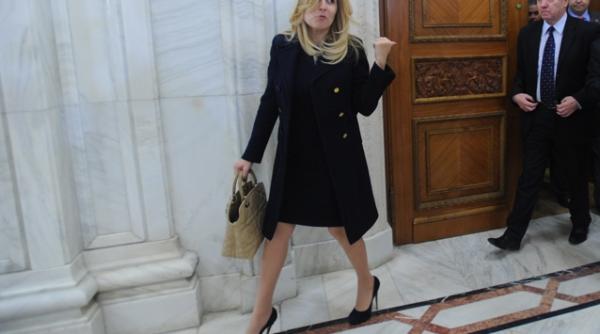 udrea a anuntat candidatii pdl pentru sectoarele 2 4 si 5 lucian iliescu sulfina barbu si mihai atanasoaei