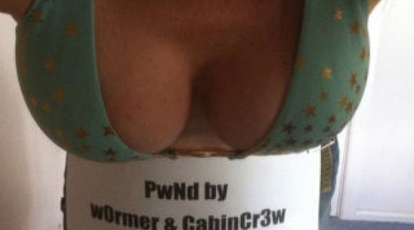 fotografia care a dus la prinderea unuia dintre hackerii anonymus cum a fost posibil acest lucru