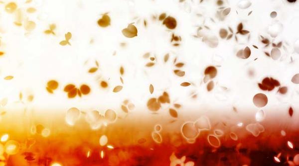 memoria pomilor infloriti