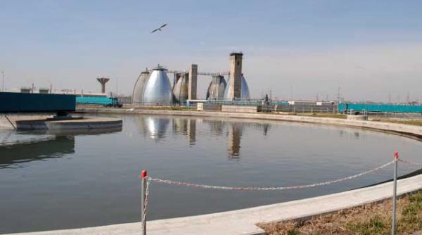 bucuresti monstrul cu un singur rinichi 2