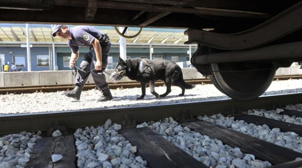 presa germana romania olanda o relatie la limita