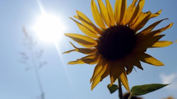 o gena rezistenta la seceta revolutie biotehnologica in argentina