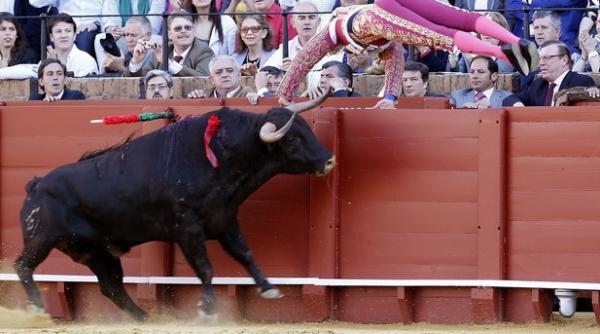 23 aprilie 2012 imaginile zilei